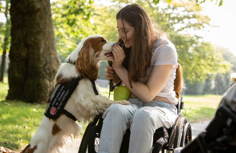 Ella with her assistance dog Moose. Moose is a tam and white cocker spaniel. He is standing on his back legs with his paws on Ella's legs. She is in her wheelchair, feeding a treat into his mouth and smiling at him.
