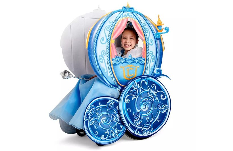 Disney Princess wheelchair cover