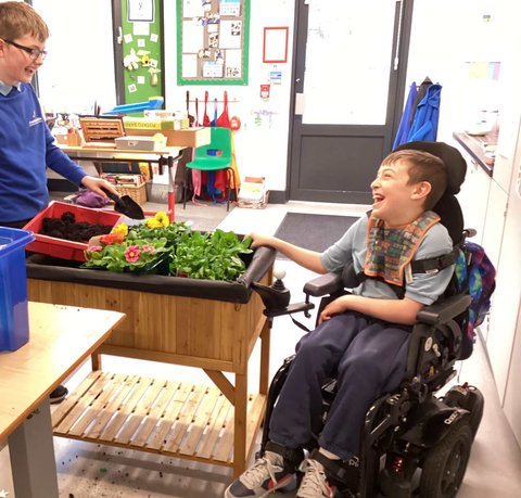 A young wheelchair user and his classmate are either side of a small tabletop garden