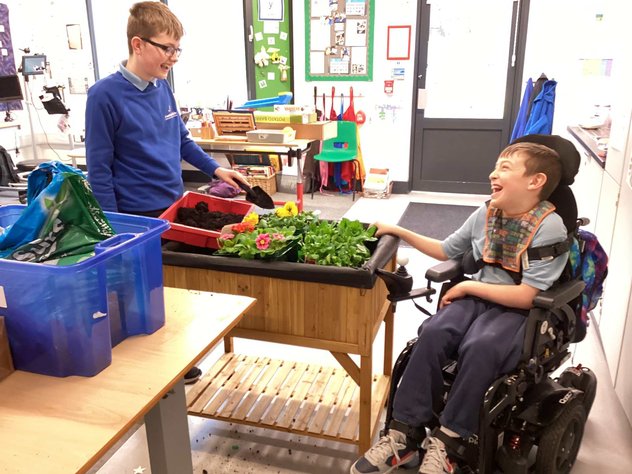 A young wheelchair user and his classmate are either side of a small tabletop garden