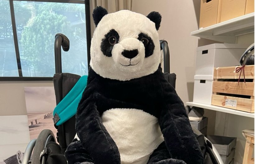 A large toy panda sat in a wheelchair