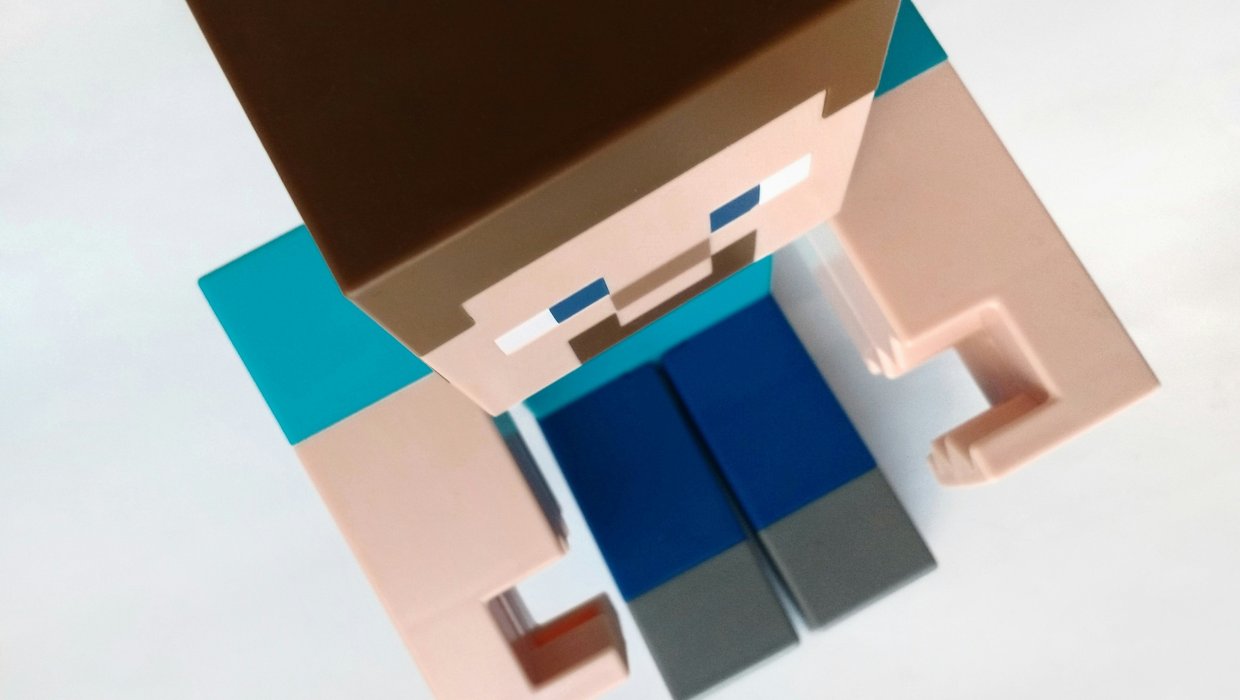 minecraft character from the top looking down